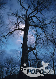 [������Ů] ѧ��ʱ����ݺ��Ҵ�SL�󷨺�