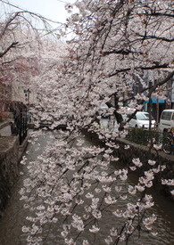 ������ȫ���˶����������๫