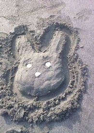 �ڻ�Ů�����Ҳ��Ŭ���Ծ�[�촩]