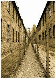 ��ֻ���ܲ���NPC������ʲô��