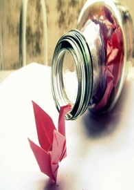 ���������Ӳ�����