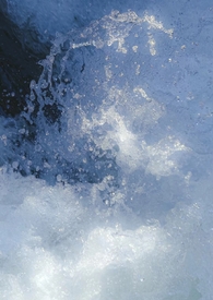 [��Ӣ��] ��ɭ������