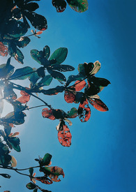 ��������վ�Ͻ�