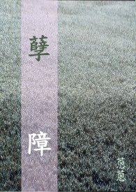 �ӻ�·�����飬��������ǿ������