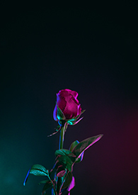 ������������ɽ��˷�����