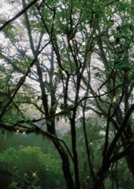 ���������쾭����[����]