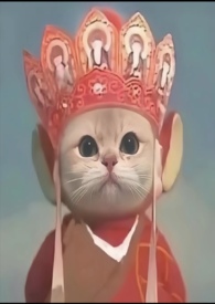 [����] �ո���֮�ӻر���