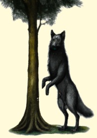 [����] ��������Ƹ����������¹���