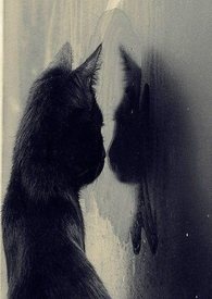 ����ޣ��ܲ�����ɱ