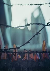 [����] ����Ԫ�����ճ�