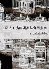 ������װO��Ҫ���̵�