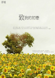 ���ܽ���Ҳ�ڴ����籾