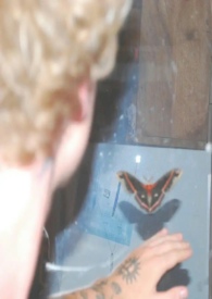 [��] ����ӵĳ���