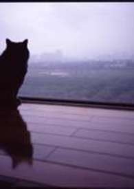 ����֮��