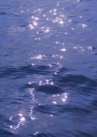 [����] ������Ϊ�ں��ҳ�����ǿ���⹫