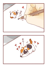 �������Ǿ��ް�����