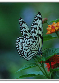 [����ͬ��] �ڻ���Ե����߸̫��׷