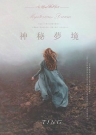 ��׷����